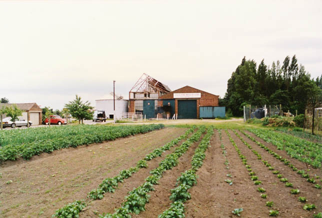 How the area looked before Yorkdale was built