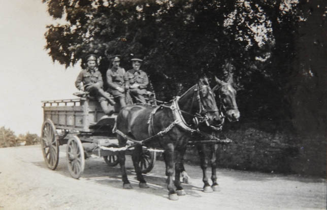 Tommy’s transport when training