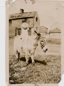 Edna Sayner on Jinny the donkey